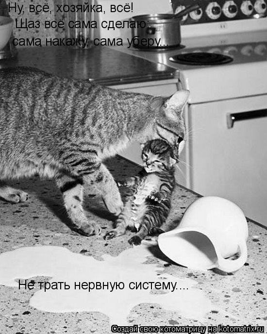 Ну, всё, хозяйка, всё! Щаз всё сама сделаю: сама накажу, сама уберу... Не трать нервную систему....... Котоматрица: Ну, всё, хозяйка, всё! Щаз всё сама сделаю: сама накажу, сама уберу... Не трать нервную систему....