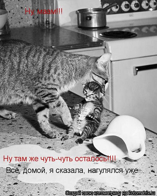 Ну, маам!!! Ну там же чуть-чуть осталось!!!! Всё, домой, я сказала, нагулялся уже...... Котоматрица: Ну, маам!!! Ну там же чуть-чуть осталось!!!! Всё, домой, я сказала, нагулялся уже...