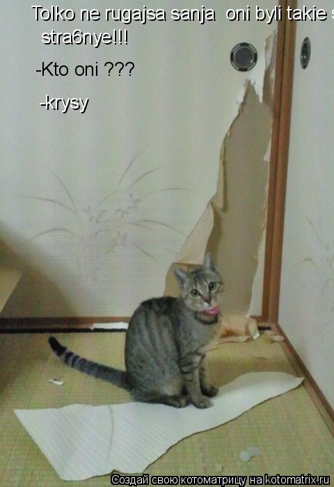 Tolko ne rugajsa sanja oni byli takie stra6nye!!! stra6nye!!! -Kto oni ??? -krysy... Котоматрица: Tolko ne rugajsa sanja oni byli takie stra6nye!!! stra6nye!!! -Kto oni ??? -krysy