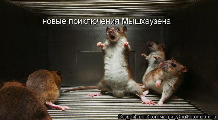 новые приключения Мышхаузена... Котоматрица: новые приключения Мышхаузена
