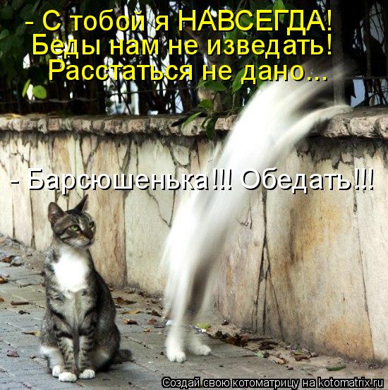 Котоматрица: - С тобой я НАВСЕГДА! Беды нам не изведать! Расстаться не дано... - Барсюшенька!!! Обедать!!!