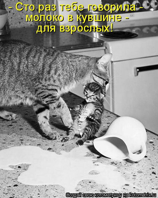 Котоматрица: - Сто раз тебе говорила -  молоко в кувшине -  для взрослых!