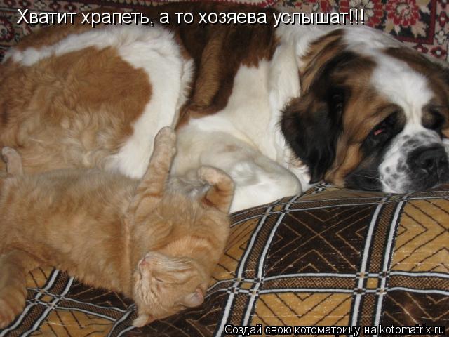 Котоматрица: Хватит храпеть, а то хозяева услышат!!!