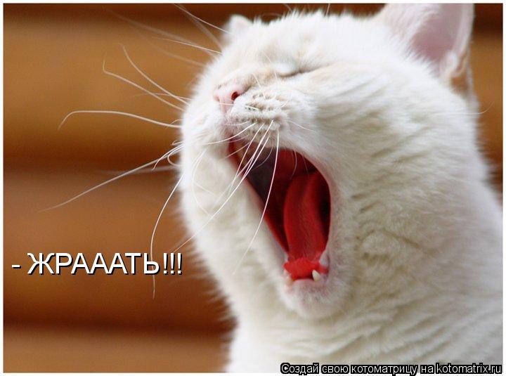 Котоматрица: - ЖРАААТЬ!!!
