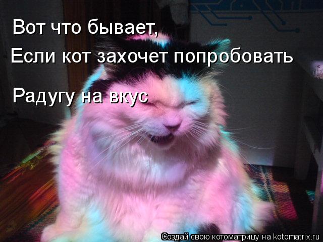 Котоматрица: Вот что бывает, Если кот захочет попробовать  Радугу на вкус