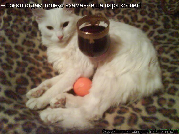 Котоматрица: --Бокал отдам,только взамен--ещё пара котлет!