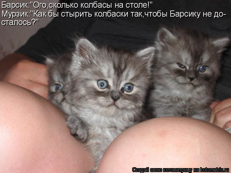 Котоматрица: Барсик:"Ого,сколько колбасы на столе!" Мурзик:"Как бы стырить колбаски так,чтобы Барсику не до- сталось?"