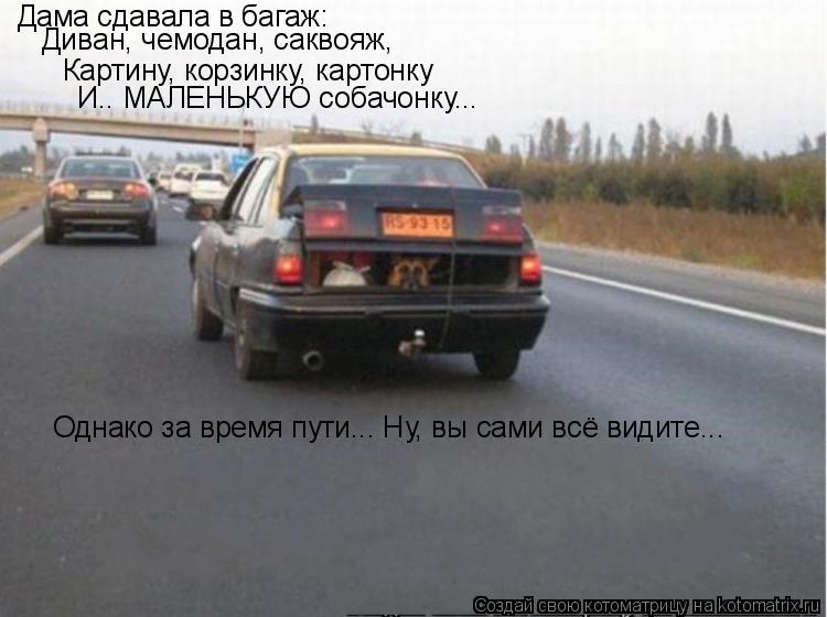 Котоматрица: Дама сдавала в багаж: Картину, корзинку, картонку И.. МАЛЕНЬКУЮ собачонку... Однако за время пути... Ну, вы сами всё видите... Диван, чемодан, сак