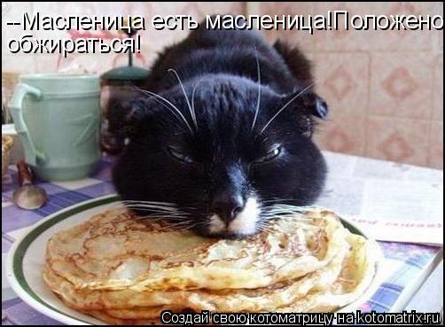 Котоматрица: --Масленица есть масленица!Положено обжираться!