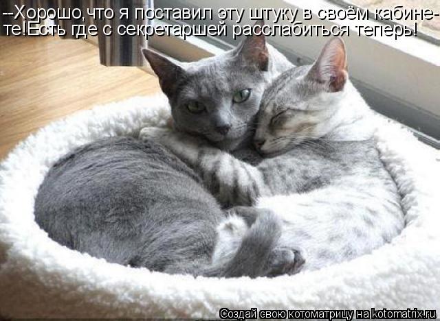 --Хорошо,что я поставил эту штуку в своём кабине- те!Есть где с секретаршей расслабиться теперь!... Котоматрица: --Хорошо,что я поставил эту штуку в своём кабине- те!Есть где с секретаршей расслабиться теперь!