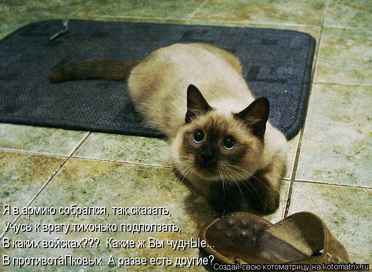 В противотаПковых. А разве есть другие? В каких войсках??? Какие ж Вы чуднЫе... Учусь к врагу тихонь... Котоматрица: В противотаПковых. А разве есть другие? В каких войсках??? Какие ж Вы чуднЫе... Учусь к врагу тихонько подползать, Я в армию собрался, так сказ