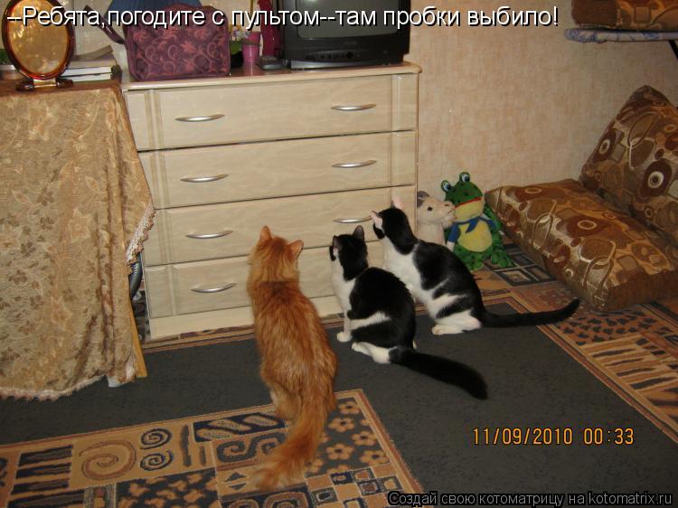 --Ребята,погодите с пультом--там пробки выбило!... Котоматрица: --Ребята,погодите с пультом--там пробки выбило!