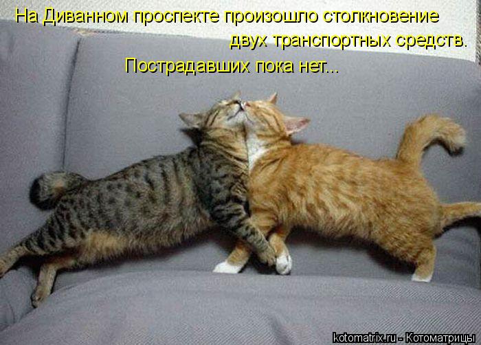 На Диванном проспекте произошло столкновение двух транспортных средств. Пострадавших пока нет...... Котоматрица: На Диванном проспекте произошло столкновение двух транспортных средств. Пострадавших пока нет...