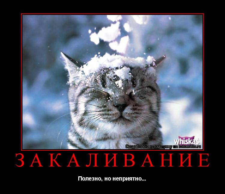 Закаливание Полезно, но неприятно...... Котоматрица: Закаливание Полезно, но неприятно...