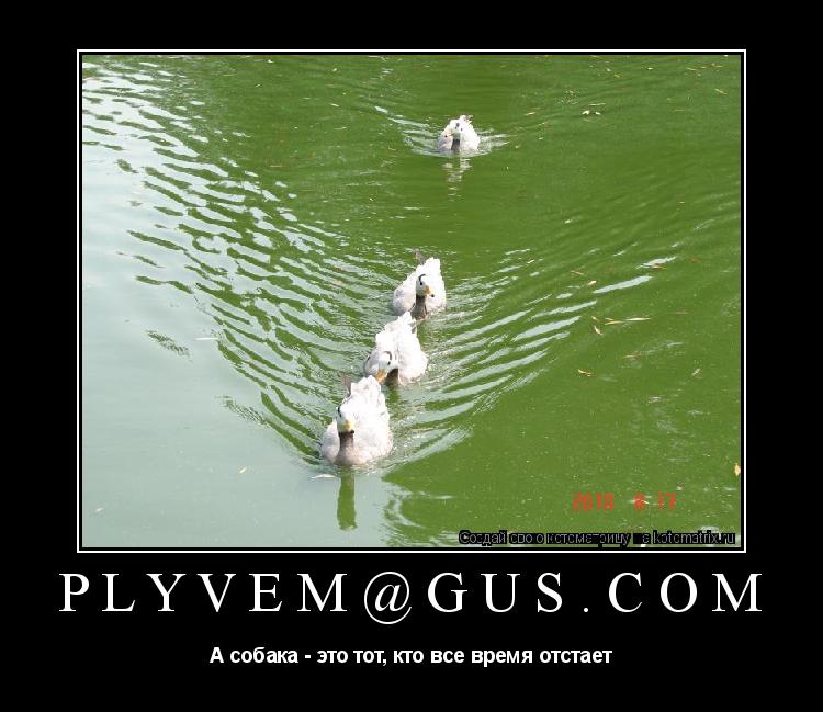 PLYVEM@GUS.COM А собака - это тот, кто все время отстает... Котоматрица: PLYVEM@GUS.COM А собака - это тот, кто все время отстает