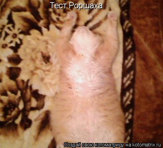 Тест Роршаха... Котоматрица: Тест Роршаха
