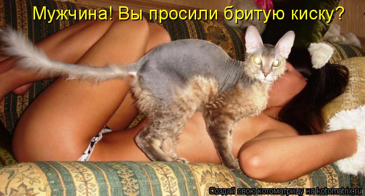 Мужчина! Вы просили бритую киску?... Котоматрица: Мужчина! Вы просили бритую киску?