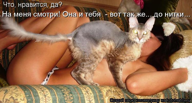 Что, нравится, да? На меня смотри! Она и тебя - вот так же... до нитки...... Котоматрица: Что, нравится, да? На меня смотри! Она и тебя - вот так же... до нитки...