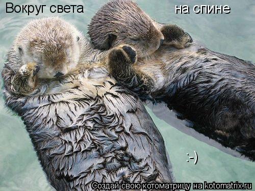 Вокруг света на спине :-)... Котоматрица: Вокруг света на спине :-)