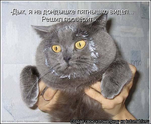 -Дык, я на дондышке пятнышко видел... Решил проверить...... Котоматрица: -Дык, я на дондышке пятнышко видел... Решил проверить...