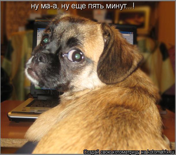 ну ма-а, ну еще пять минут...!... Котоматрица: ну ма-а, ну еще пять минут...!