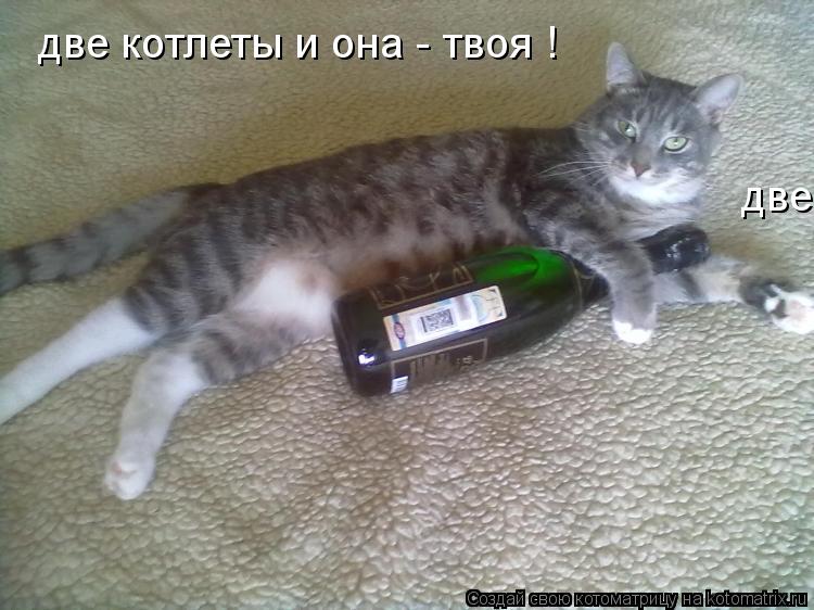 две котлеты и она - твоя ! две котлеты и она - твоя !... Котоматрица: две котлеты и она - твоя ! две котлеты и она - твоя !