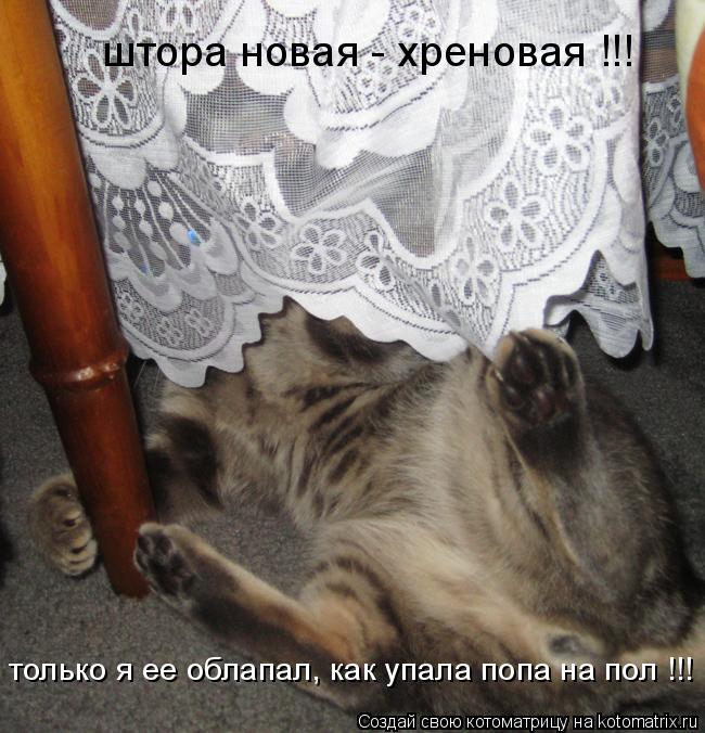только я ее облапал, как упала попа на пол !!! штора новая - хреновая !!!... Котоматрица: только я ее облапал, как упала попа на пол !!! штора новая - хреновая !!!