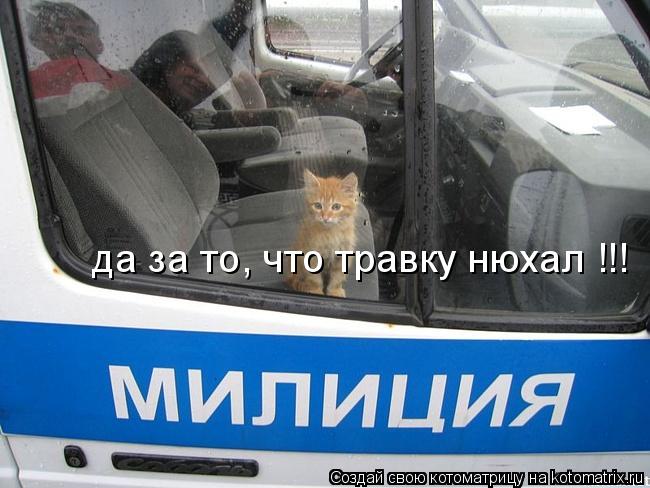 да за то, что травку нюхал !!!... Котоматрица: да за то, что травку нюхал !!!