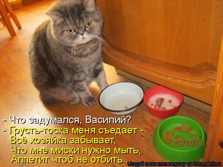 - Что задумался, Василий? - Грусть-тоска меня съедает - Всё хозяйка забывает, Что мне миски нужно мы... Котоматрица: - Что задумался, Василий? - Грусть-тоска меня съедает - Всё хозяйка забывает, Что мне миски нужно мыть, Аппетит чтоб не отбить...
