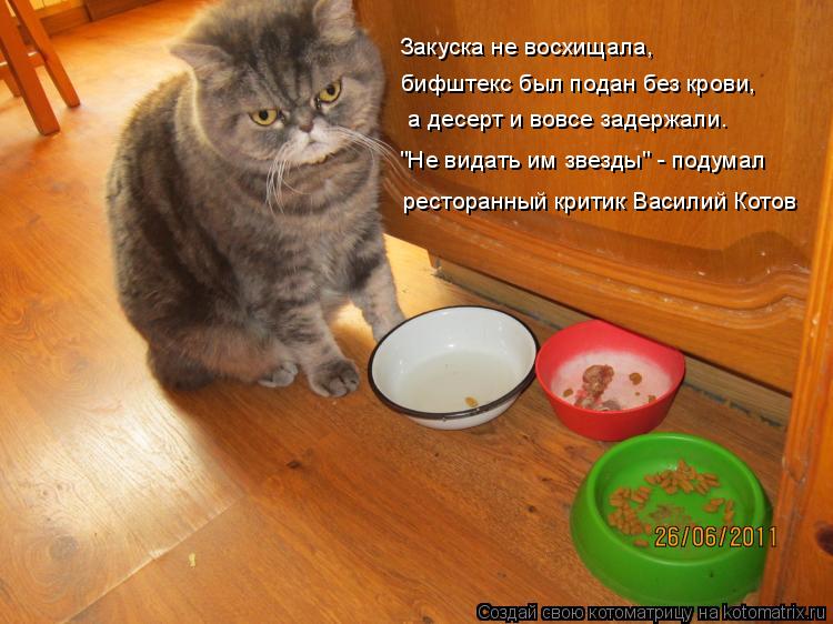 бифштекс был подан без крови, а десерт и вовсе задержали. Закуска не восхищала, "Не видать им звезд... Котоматрица: бифштекс был подан без крови, а десерт и вовсе задержали. Закуска не восхищала, "Не видать им звезды" - подумал ресторанный критик Василий К