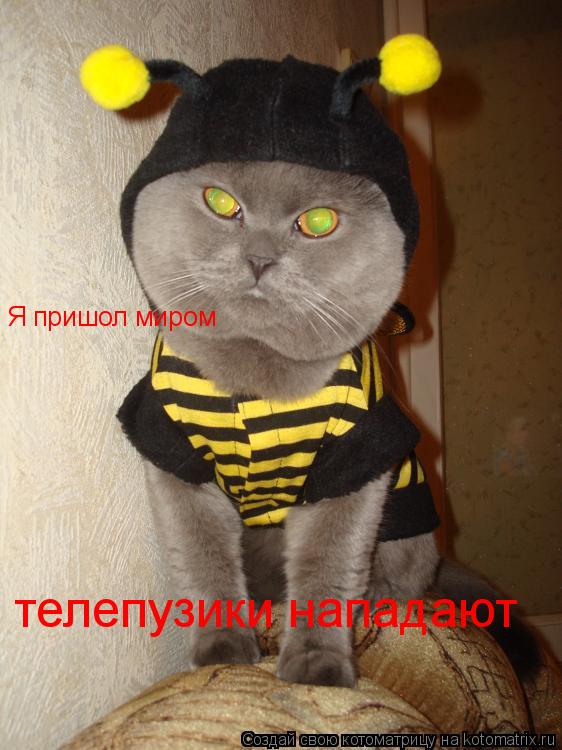 Я пришол миром телепузики нападают... Котоматрица: Я пришол миром телепузики нападают