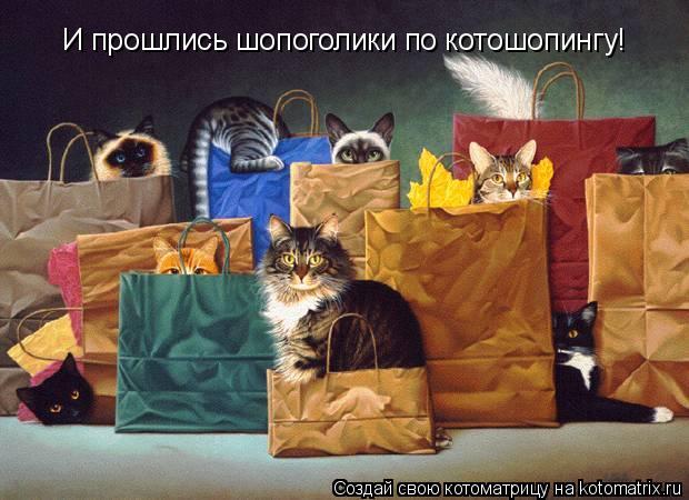И прошлись шопоголики по котошопингу!... Котоматрица: И прошлись шопоголики по котошопингу!