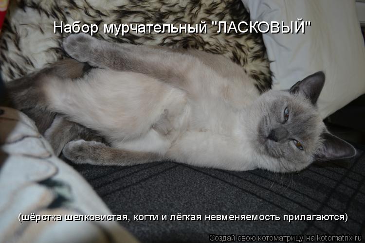 Набор мурчательный "ЛАСКОВЫЙ" (шёрстка шелковистая, когти и лёгкая невменяемость прилагаются)... Котоматрица: Набор мурчательный "ЛАСКОВЫЙ" (шёрстка шелковистая, когти и лёгкая невменяемость прилагаются)