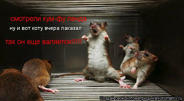 смотрели кум-фу панда ну и вот коту вчера паказал так он еще валяется!!!!!... Котоматрица: смотрели кум-фу панда ну и вот коту вчера паказал так он еще валяется!!!!!
