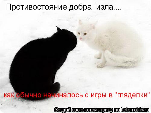 Противостояние добра изла.... как обычно начиналось с игры в "гляделки"... Котоматрица: Противостояние добра изла.... как обычно начиналось с игры в "гляделки"