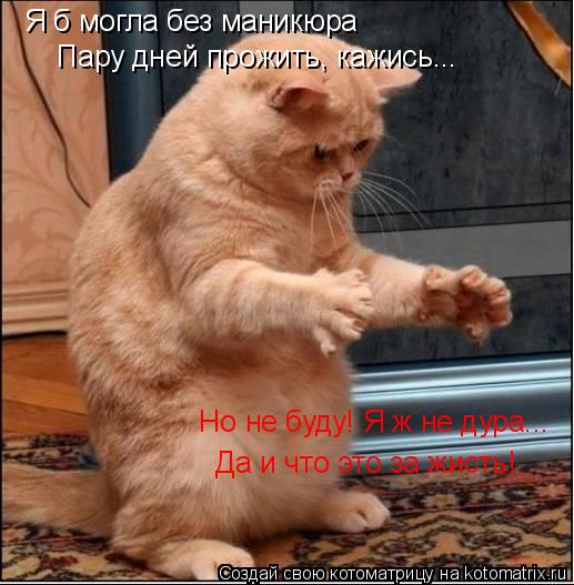 Я б могла без маникюра Пару дней прожить, кажись... Но не буду! Я ж не дура... Да и ... Котоматрица: Я б могла без маникюра Пару дней прожить, кажись... Но не буду! Я ж не дура... Да и что это за жисть!