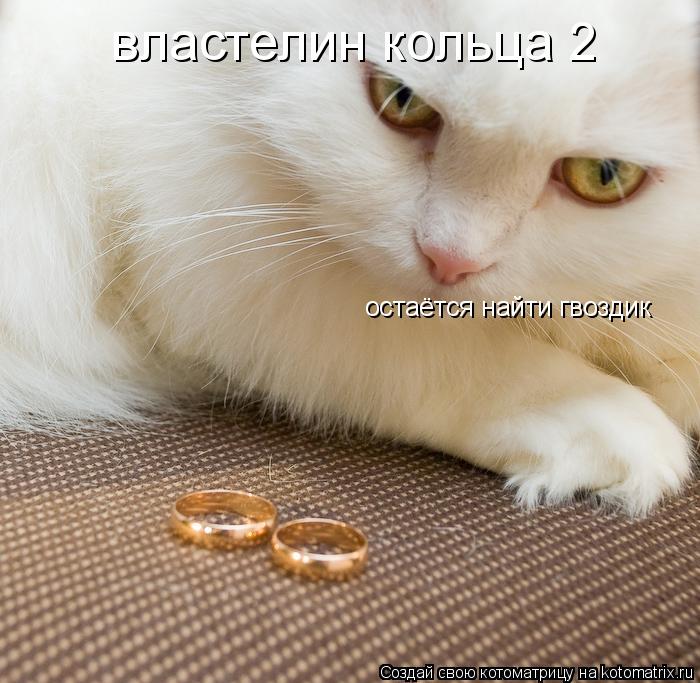 властелин кольца 2 остаётся найти гвоздик... Котоматрица: властелин кольца 2 остаётся найти гвоздик