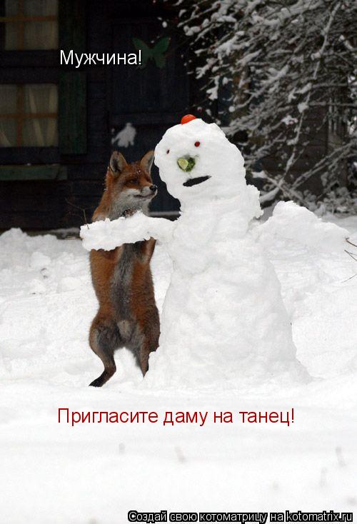 Мужчина! Мужчина! Пригласите даму на танец!... Котоматрица: Мужчина! Мужчина! Пригласите даму на танец!