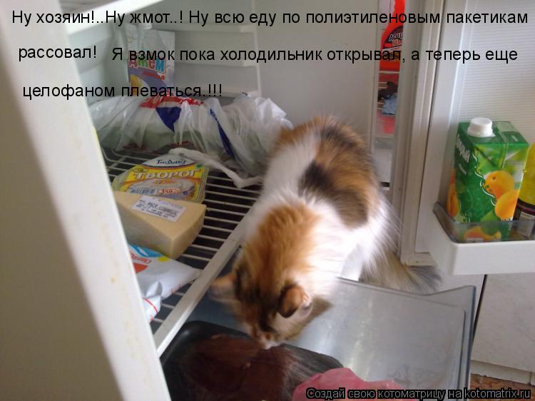 Ну хозяин!..Ну жмот..! Ну всю еду по полиэтиленовым пакетикам рассовал! Я взмок пока холодильник о... Котоматрица: Ну хозяин!..Ну жмот..! Ну всю еду по полиэтиленовым пакетикам рассовал! Я взмок пока холодильник открывал, а теперь еще целофаном плеваться