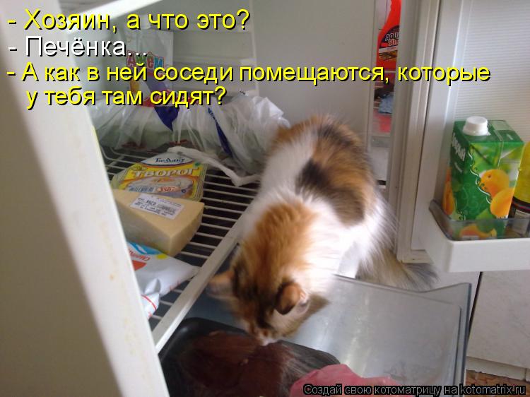 - Хозяин, а что это? - Печёнка... - А как в ней соседи помещаются, которые у тебя там сидят?... Котоматрица: - Хозяин, а что это? - Печёнка... - А как в ней соседи помещаются, которые у тебя там сидят?
