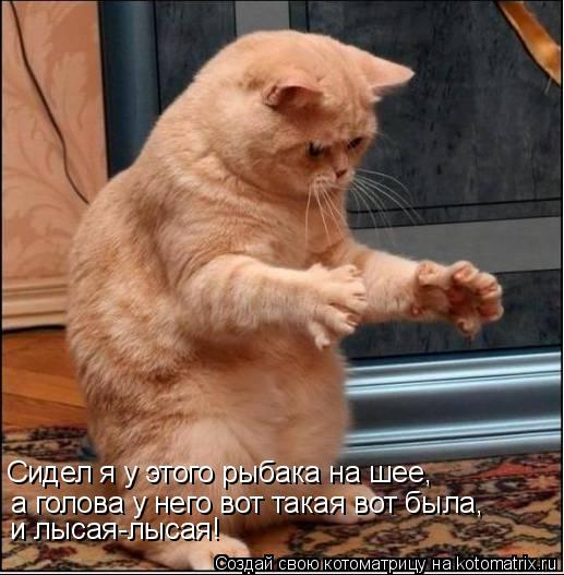 а голова у него вот такая вот была, и лысая-лысая! Сидел я у этого рыбака на шее,... Котоматрица: а голова у него вот такая вот была, и лысая-лысая! Сидел я у этого рыбака на шее,