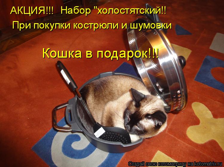 АКЦИЯ!!! Набор "холостятский!! При покупки кострюли и шумовки Кошка в подарок!!!... Котоматрица: АКЦИЯ!!! Набор "холостятский!! При покупки кострюли и шумовки Кошка в подарок!!!