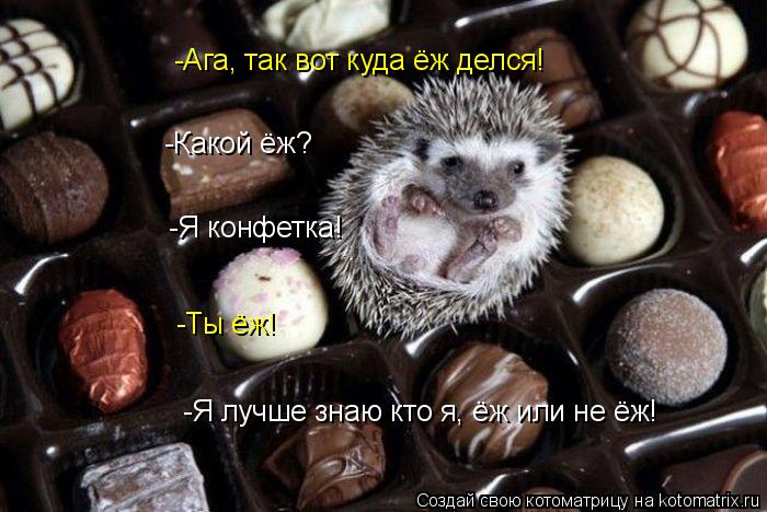 -Какой ёж? -Я конфетка! -Ты ёж! -Я лучше знаю кто я, ёж или не ёж! -Ага, так вот куда ёж делся!... Котоматрица: -Какой ёж? -Я конфетка! -Ты ёж! -Я лучше знаю кто я, ёж или не ёж! -Ага, так вот куда ёж делся!