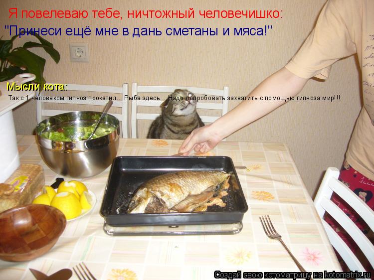 Я повелеваю тебе, ничтожный человечишко: "Принеси ещё мне в дань сметаны и мяса!" Так с 1 человеком г... Котоматрица: Я повелеваю тебе, ничтожный человечишко: "Принеси ещё мне в дань сметаны и мяса!" Так с 1 человеком гипноз прокатил... Рыба здесь... Надо попроб