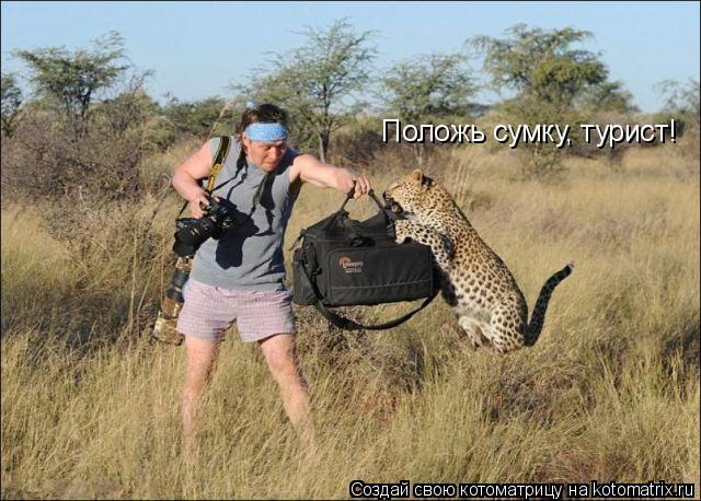 Положь сумку, турист!... Котоматрица: Положь сумку, турист!