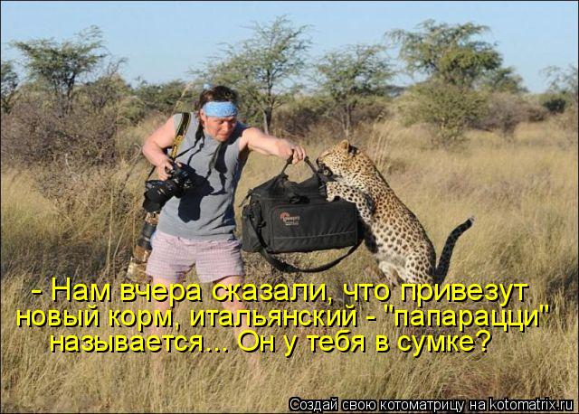 - Нам вчера сказали, что привезут новый корм, итальянский - "папарацци" называется... Он у тебя в сум... Котоматрица: - Нам вчера сказали, что привезут новый корм, итальянский - "папарацци" называется... Он у тебя в сумке?