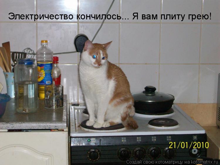 Электричество кончилось... Я вам плиту грею!... Котоматрица: Электричество кончилось... Я вам плиту грею!