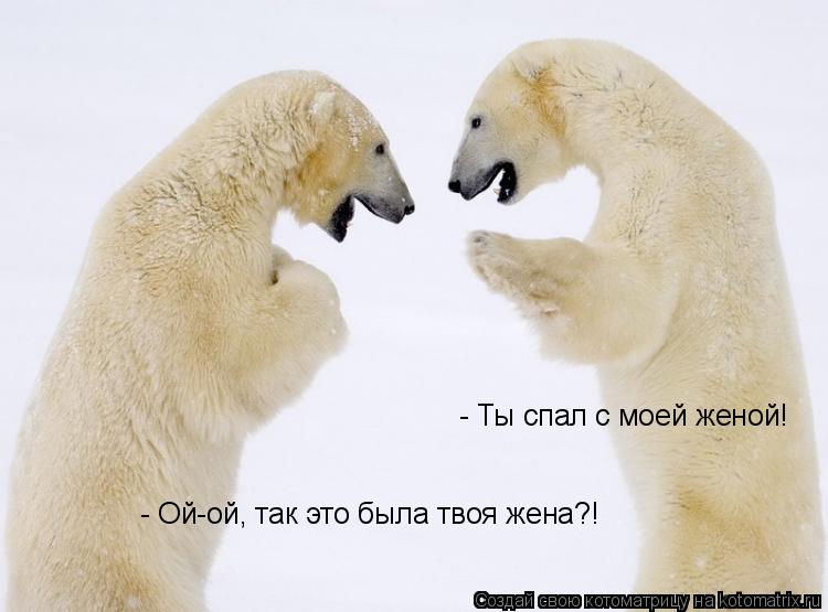 - Ты спал с моей женой! - Ой-ой, так это была твоя жена?!... Котоматрица: - Ты спал с моей женой! - Ой-ой, так это была твоя жена?!