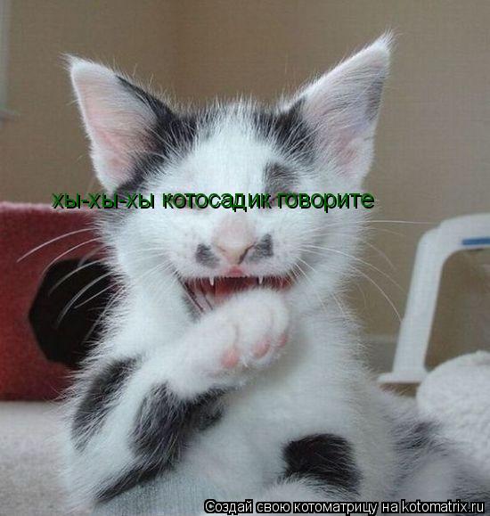 хы-хы-хы котосадик говорите... Котоматрица: хы-хы-хы котосадик говорите