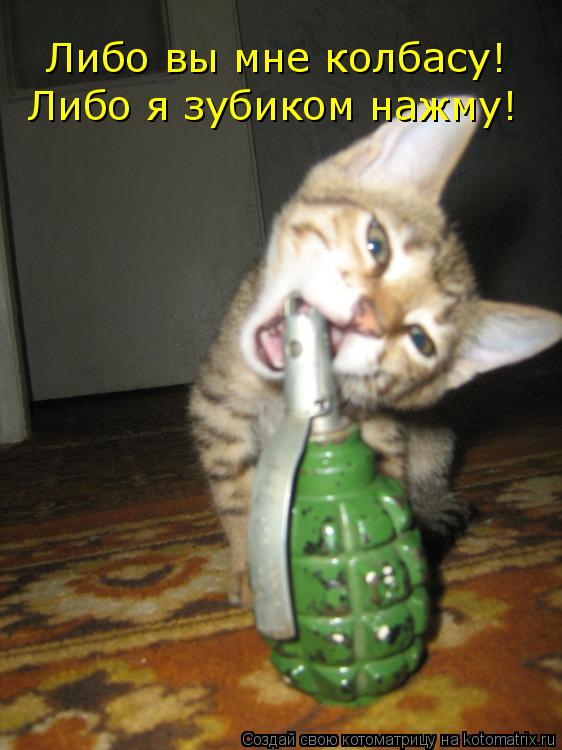 Либо вы мне колбасу! Либо я зубиком нажму!... Котоматрица: Либо вы мне колбасу! Либо я зубиком нажму!